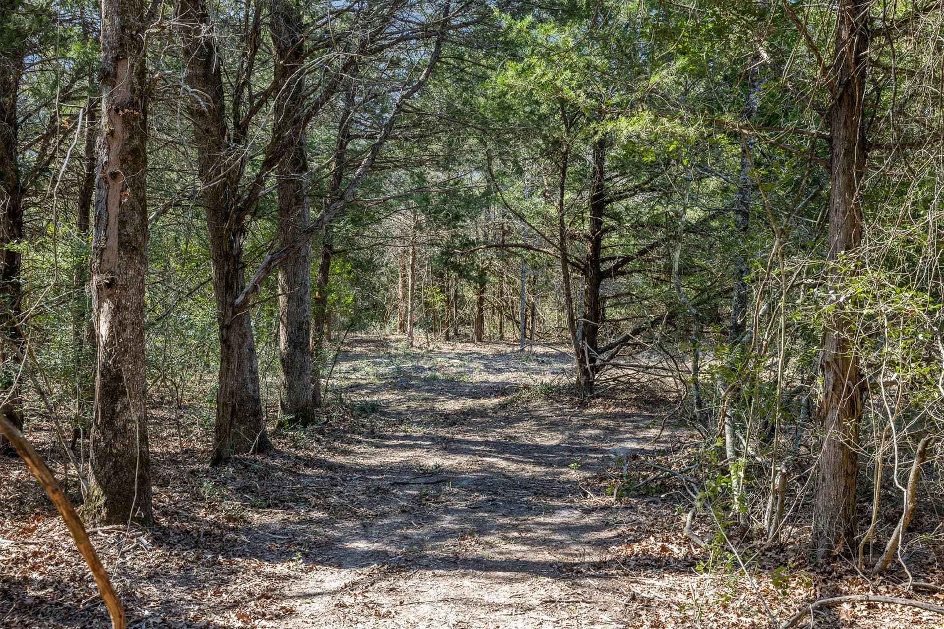 4.81 acres in Burleson County - photo 3
