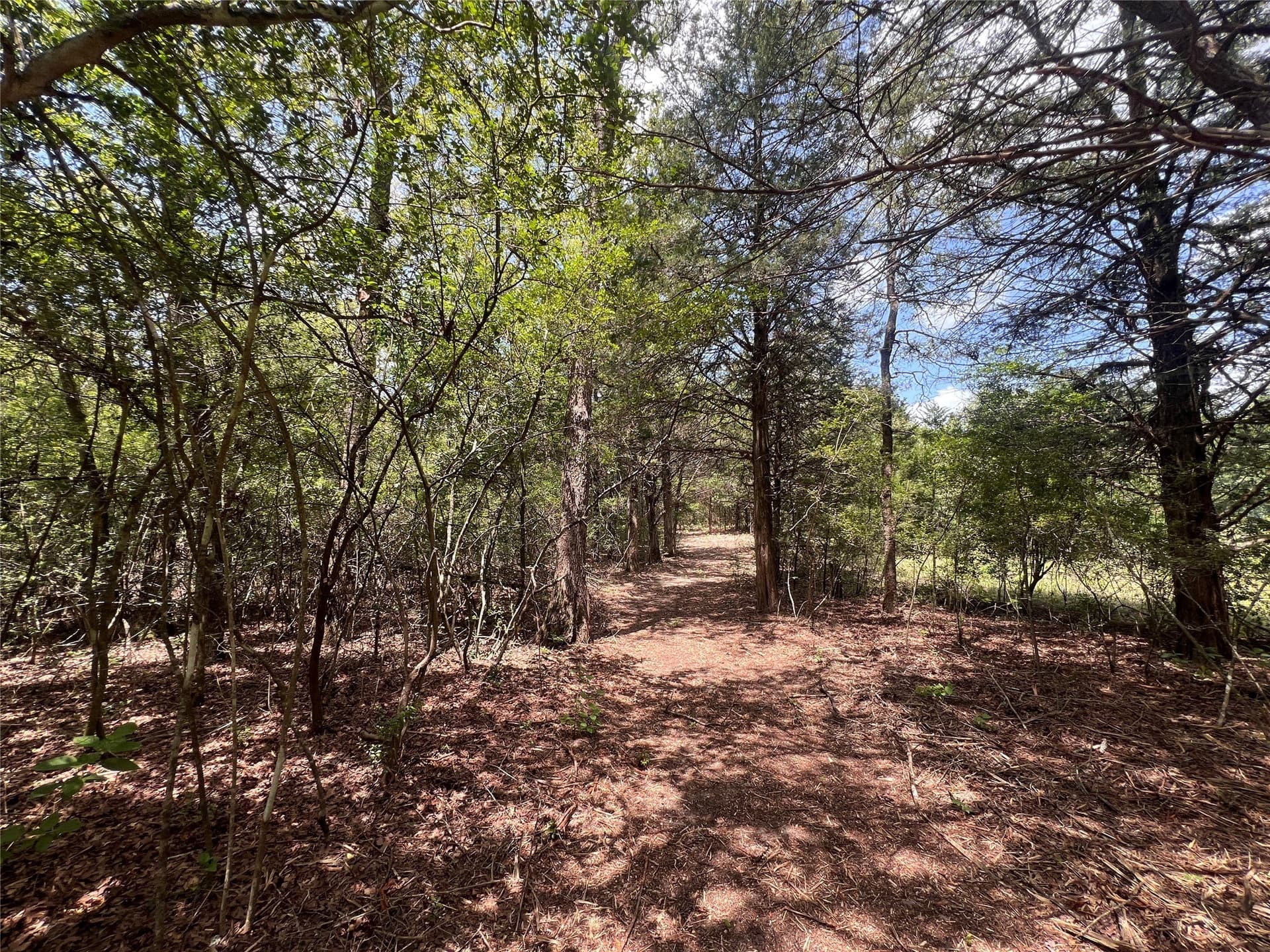 4.81 acres in Burleson County - photo 9