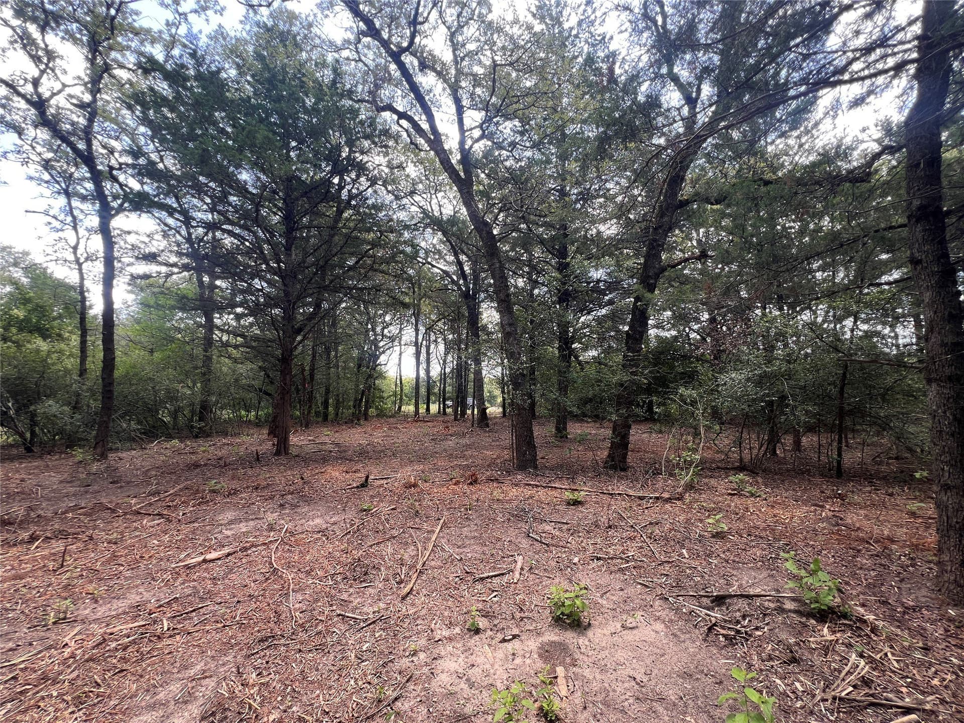 4.81 acres in Burleson County - photo 13