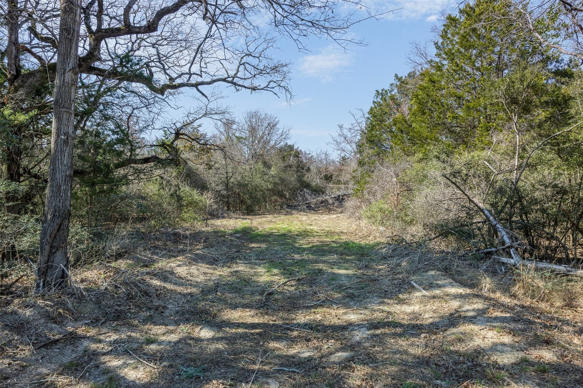 4.81 acres in Burleson County - photo 5