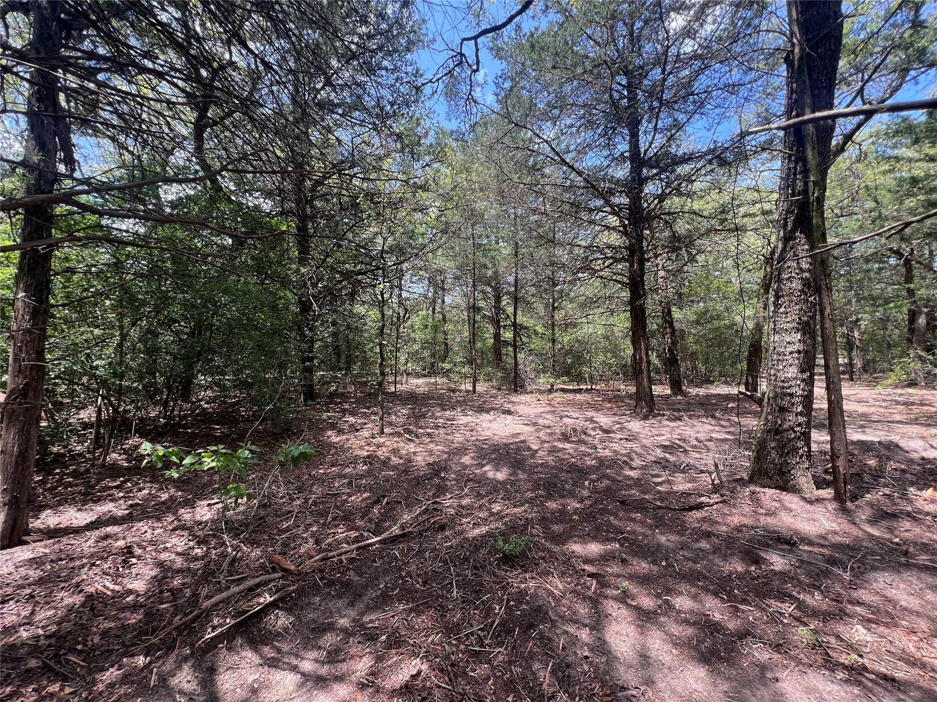 4.81 acres in Burleson County - photo 8