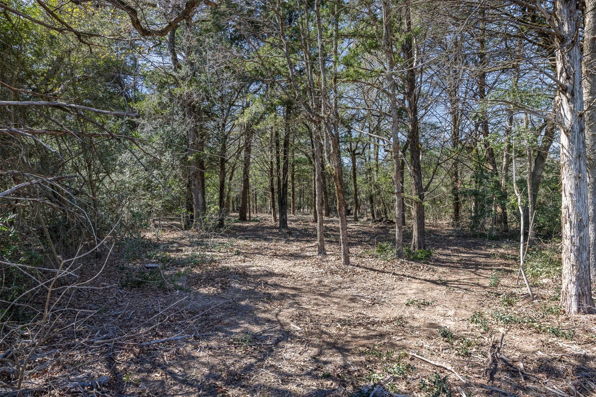 4.81 acres in Burleson County