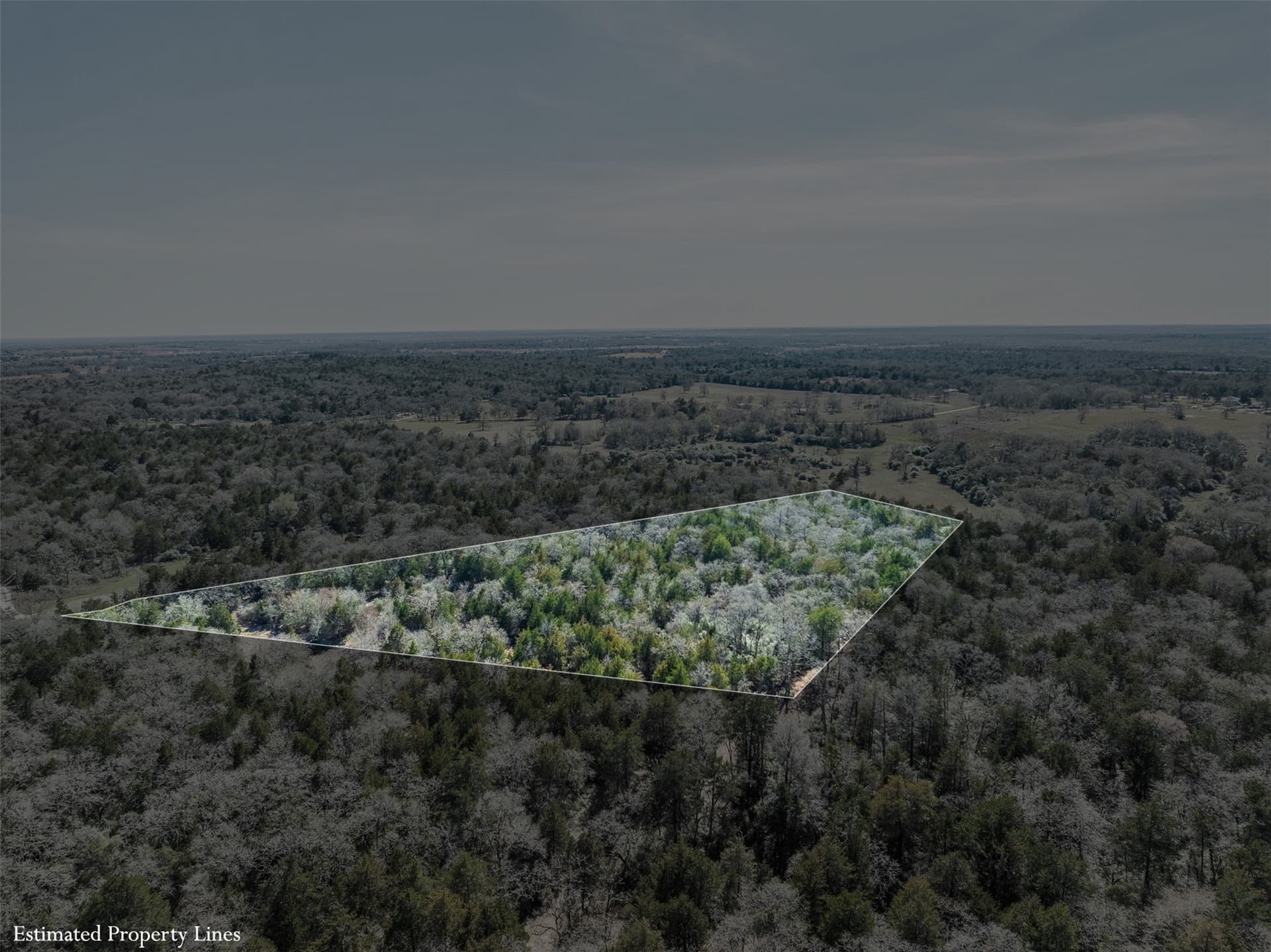 4.81 acres in Burleson County - photo 7