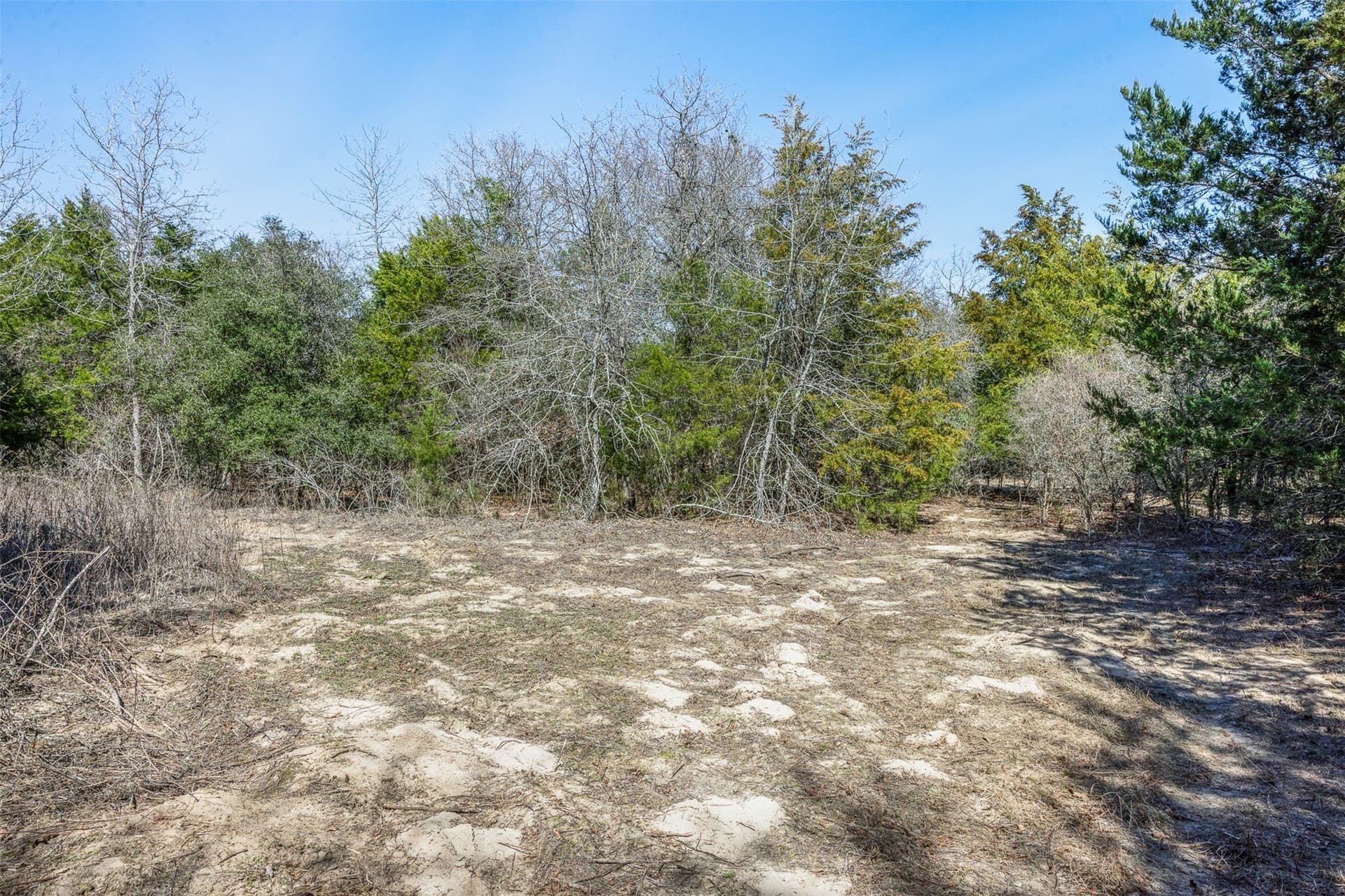4.81 acres in Burleson County - photo 4