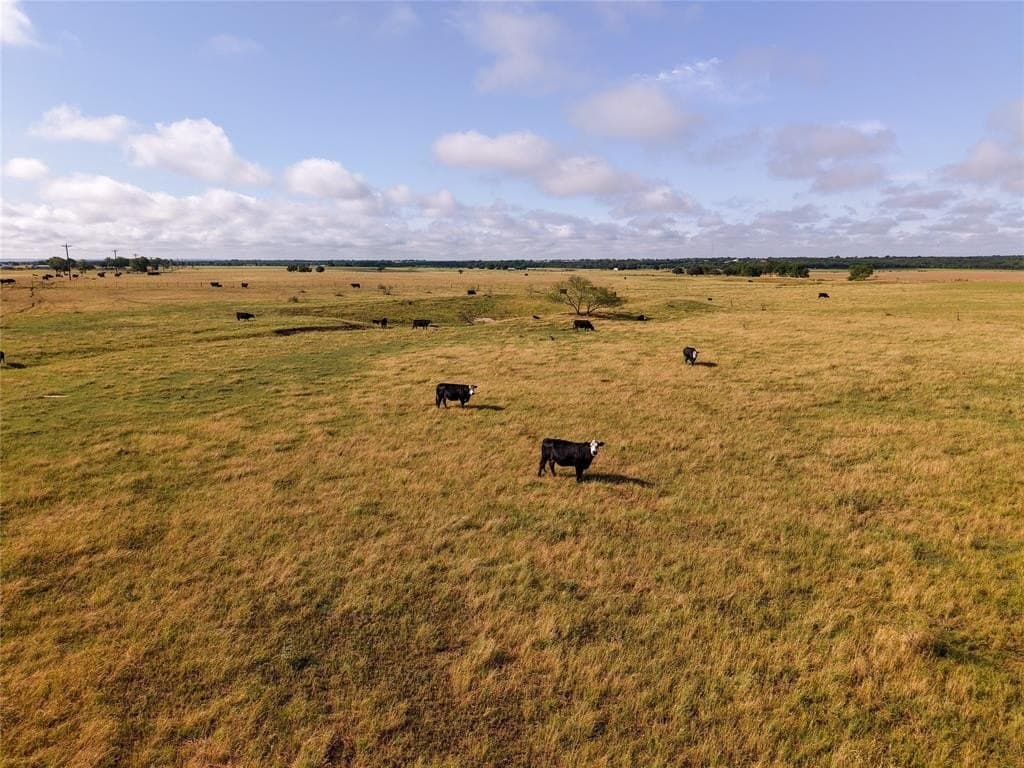 145.26 acres in McLennan County featured view