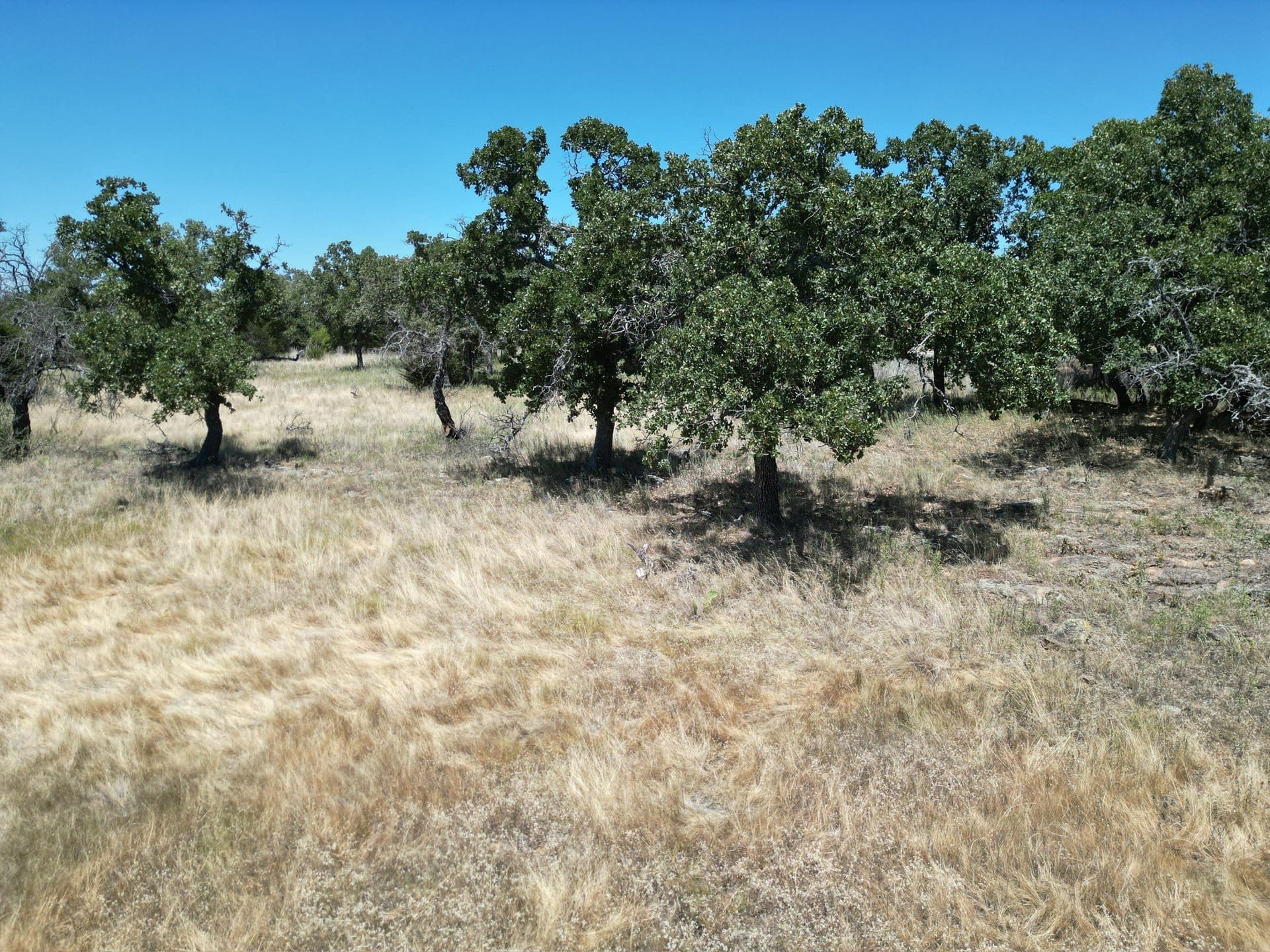 0.87 acres in Palo Pinto County - photo 11