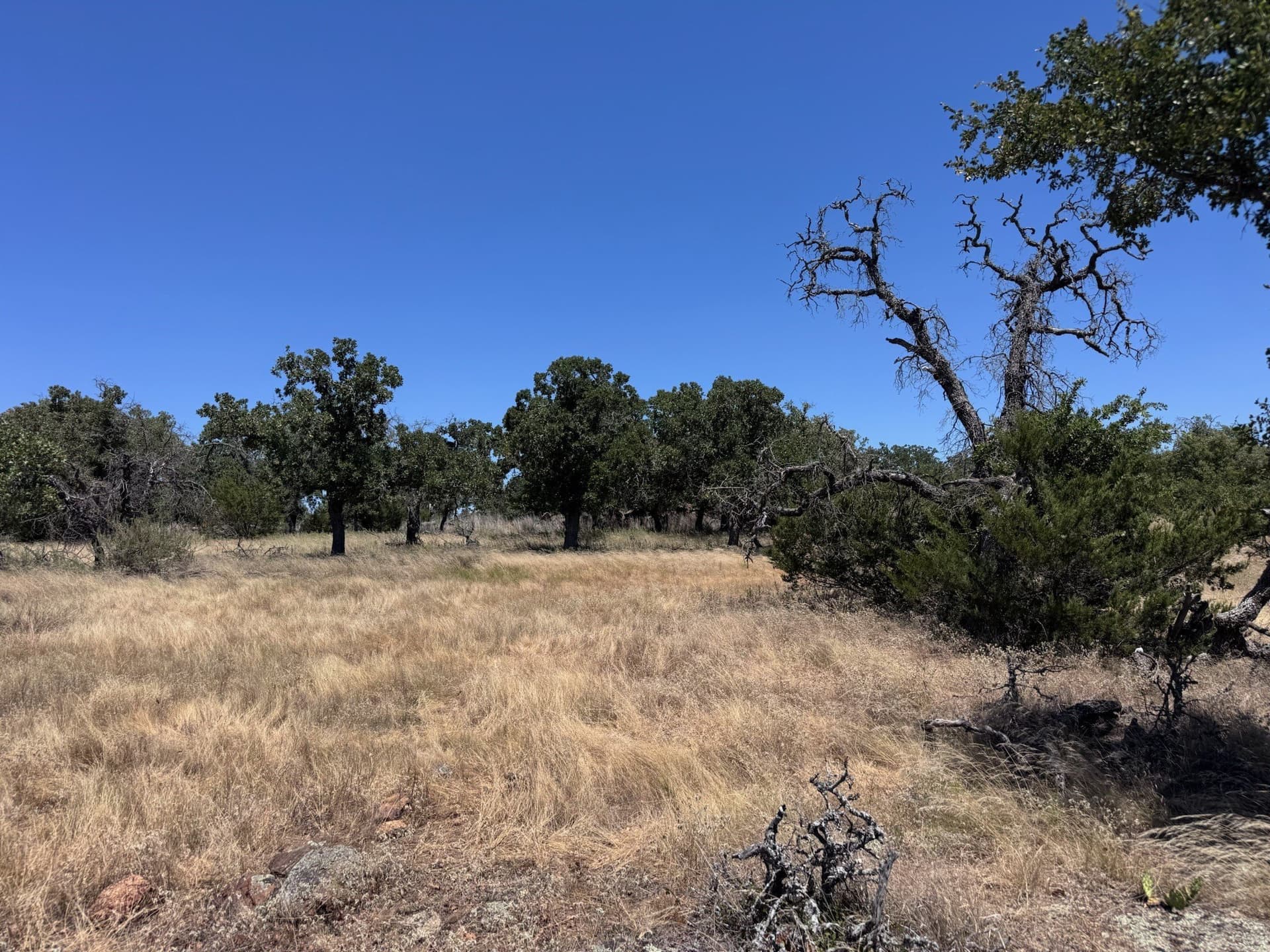 0.87 acres in Palo Pinto County - photo 16