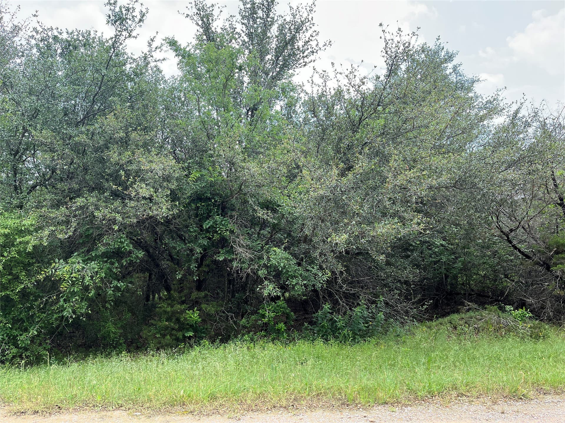 0.26 acres in Hill County - photo 19