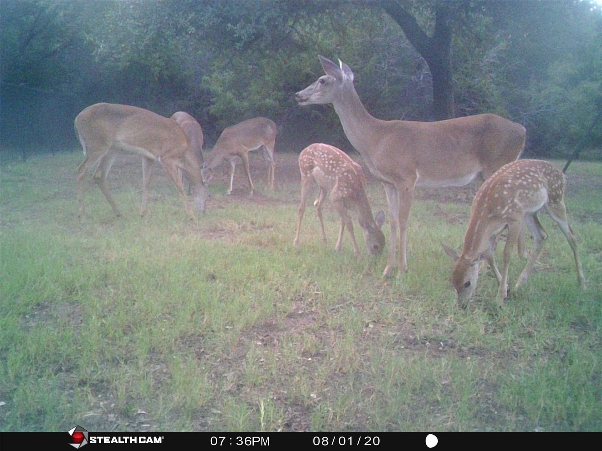 0.26 acres in Hill County - photo 10