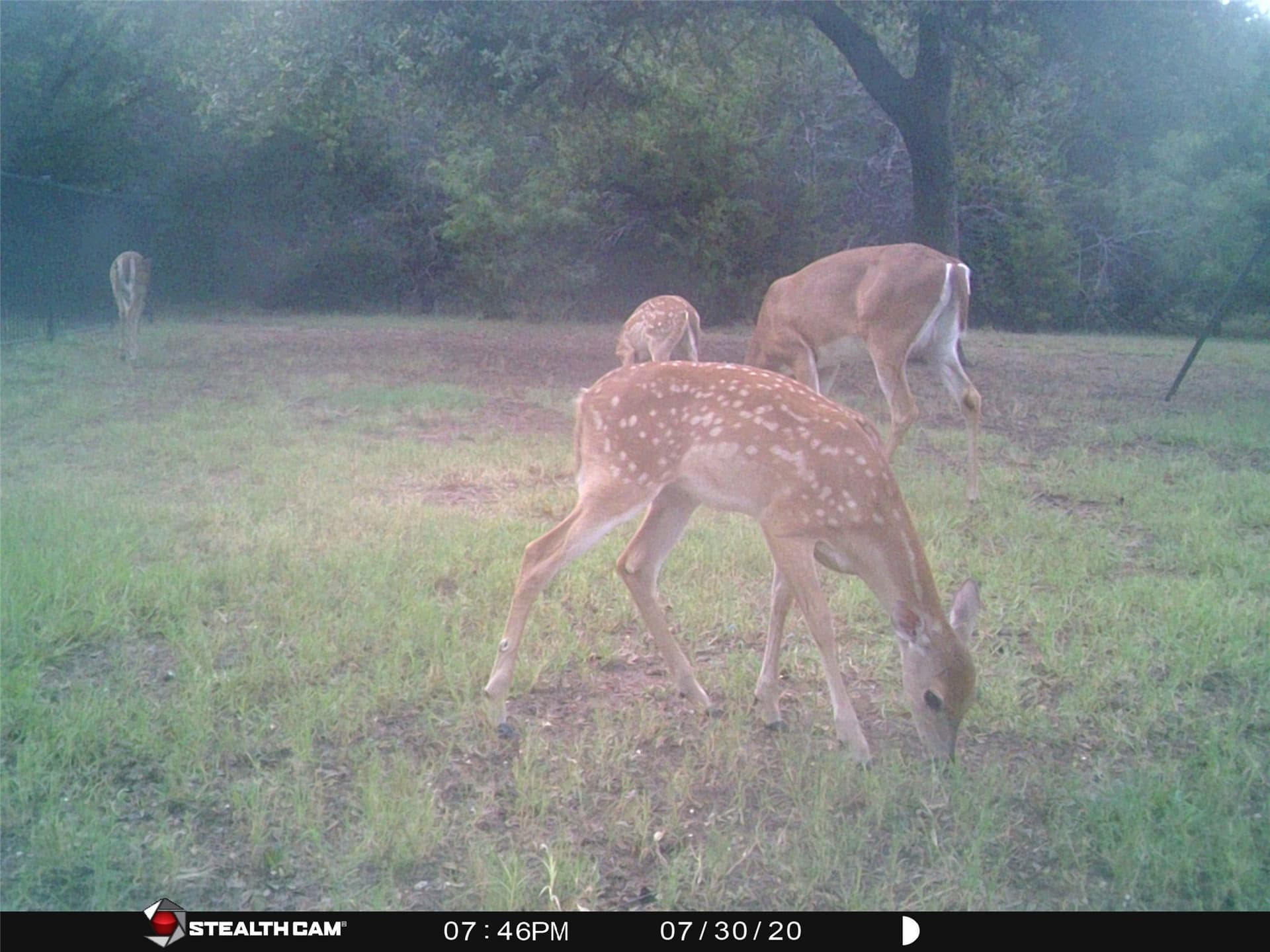 0.26 acres in Hill County - photo 9