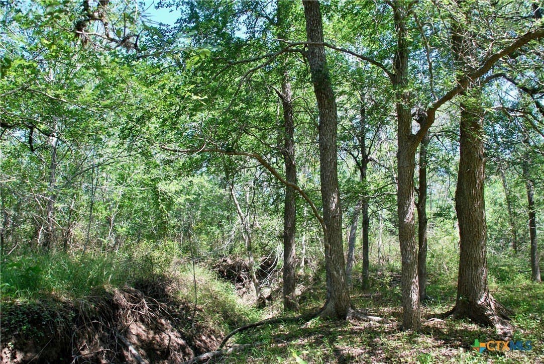 14.33 acres in Colorado County - photo 14