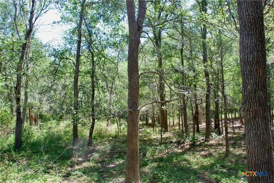 14.33 acres in Colorado County - photo 12