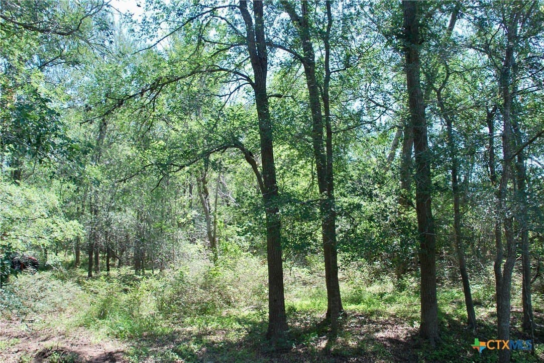 14.33 acres in Colorado County - photo 15