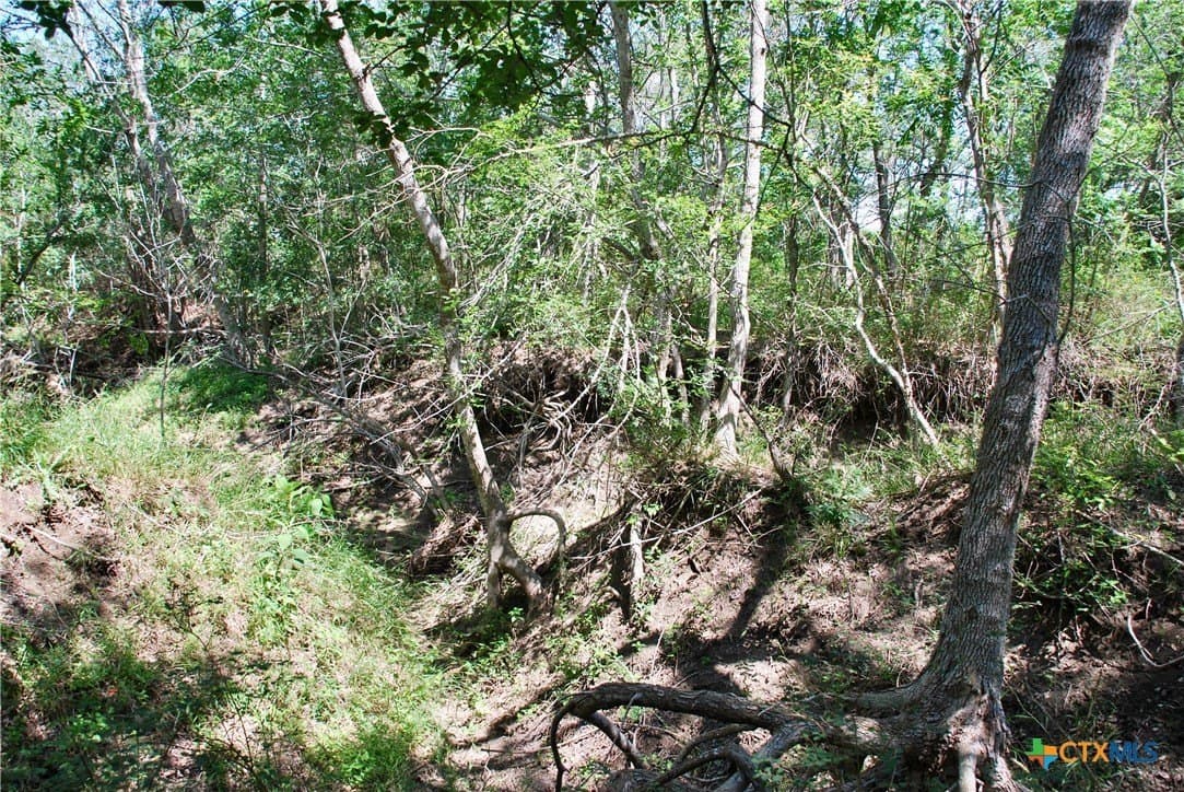 14.33 acres in Colorado County - photo 13