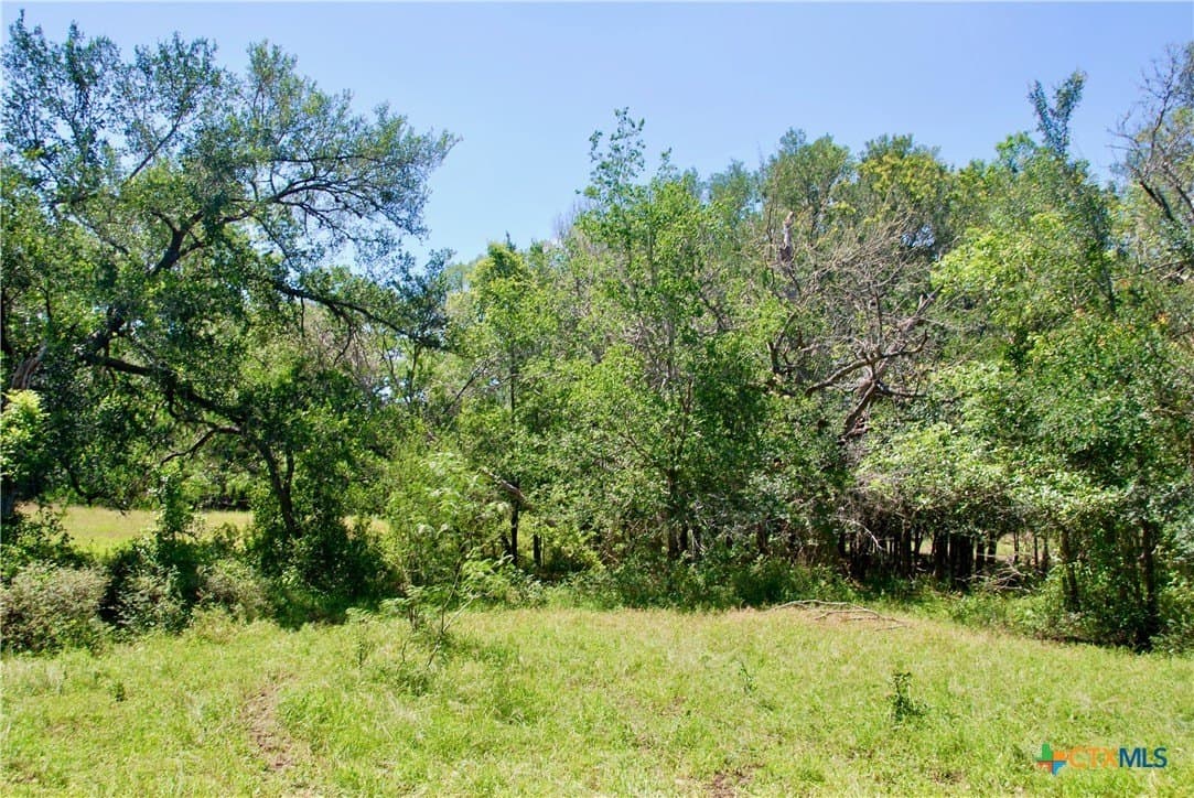 14.33 acres in Colorado County - photo 16