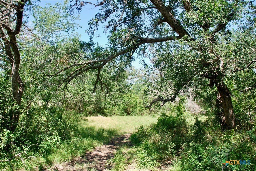 14.33 acres in Colorado County - photo 11