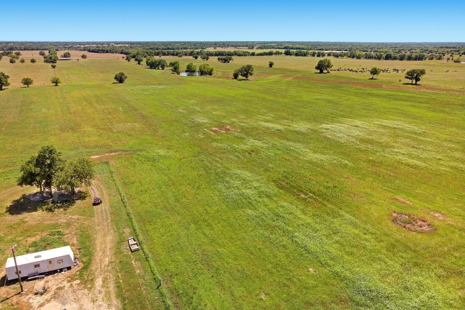 100 acres in Hopkins County gallery image 3