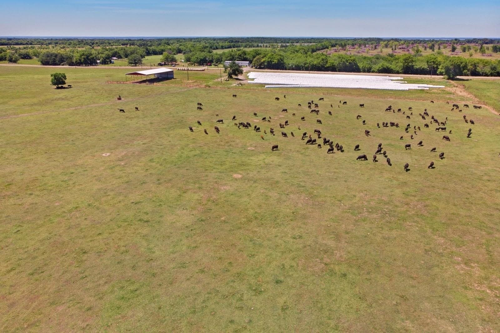 100 acres in Hopkins County - photo 15