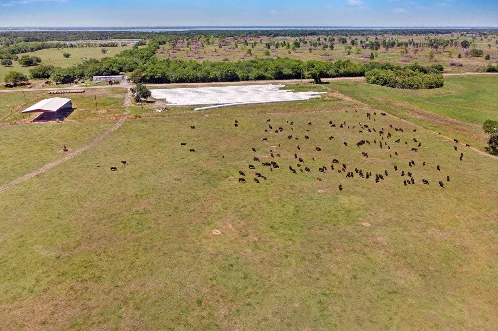 100 acres in Hopkins County - photo 16