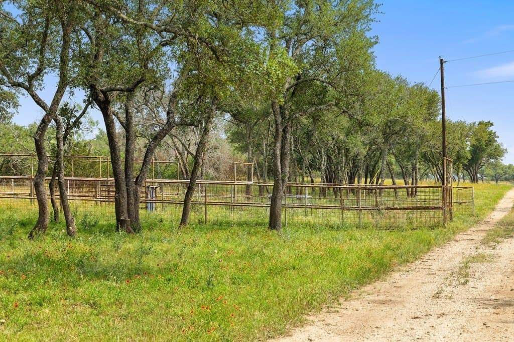 134.48 acres in Blanco County - photo 29