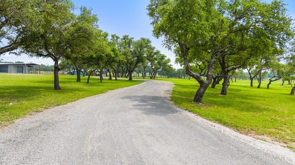 134.48 acres in Blanco County - photo 12
