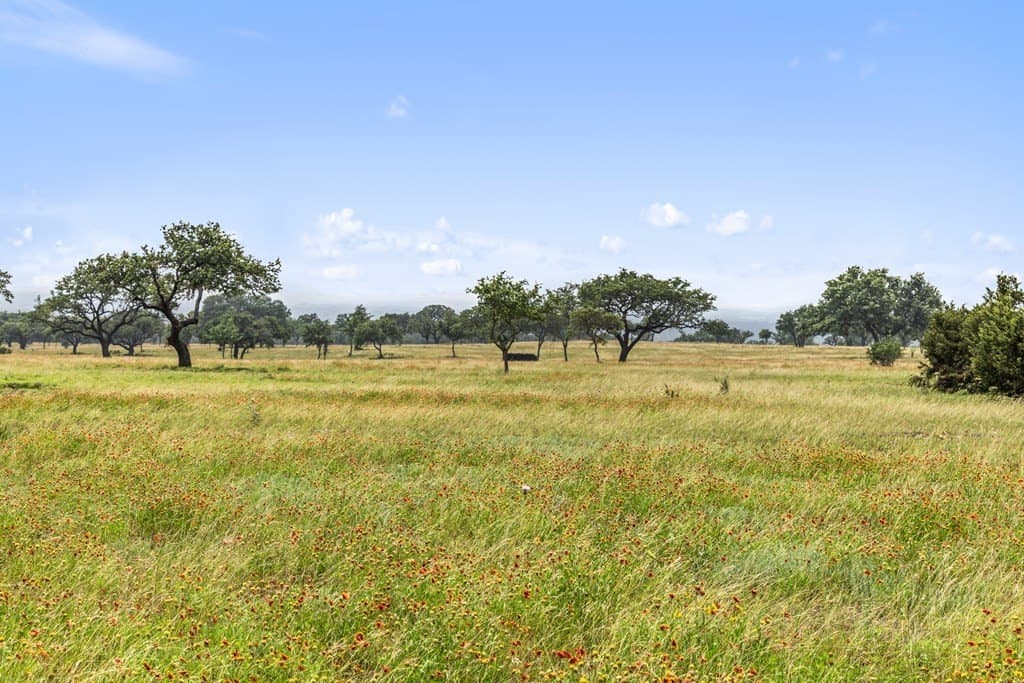 134.48 acres in Blanco County - photo 32