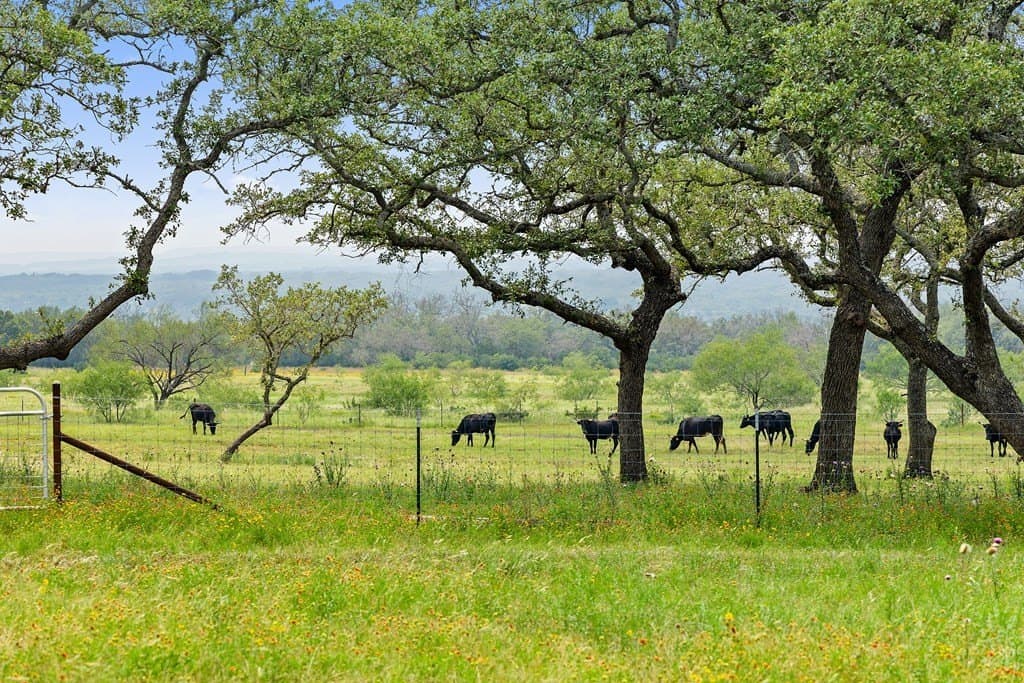 134.48 acres in Blanco County - photo 7