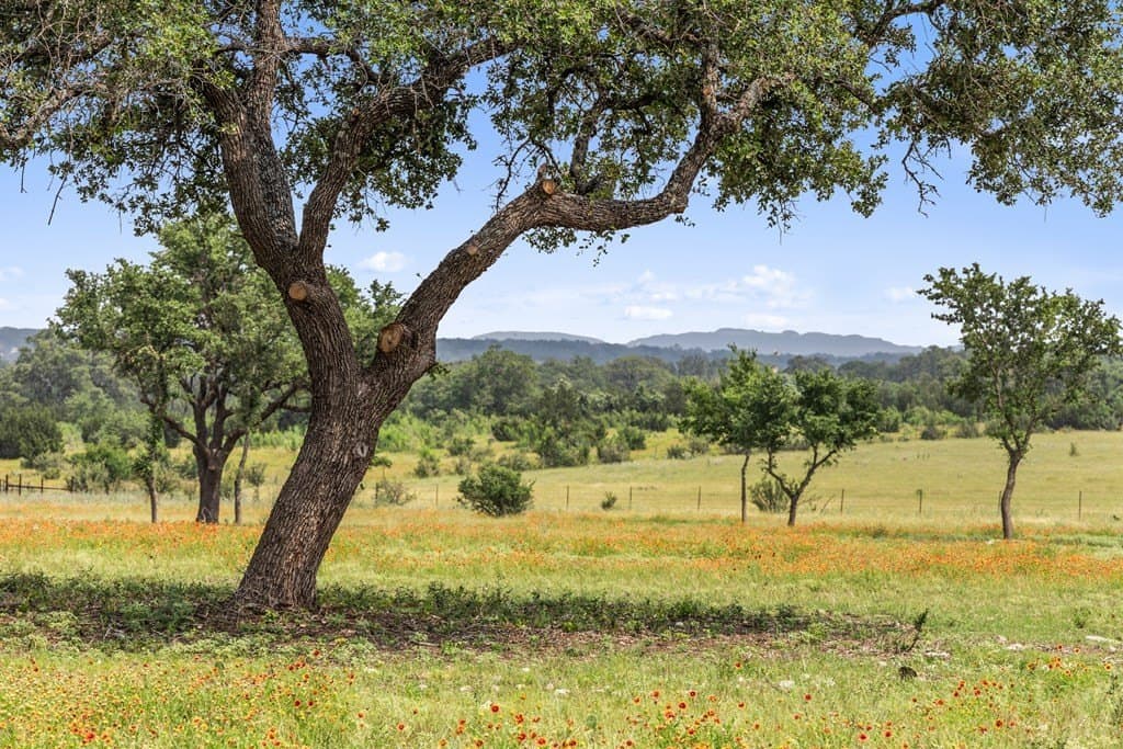 134.48 acres in Blanco County - photo 33