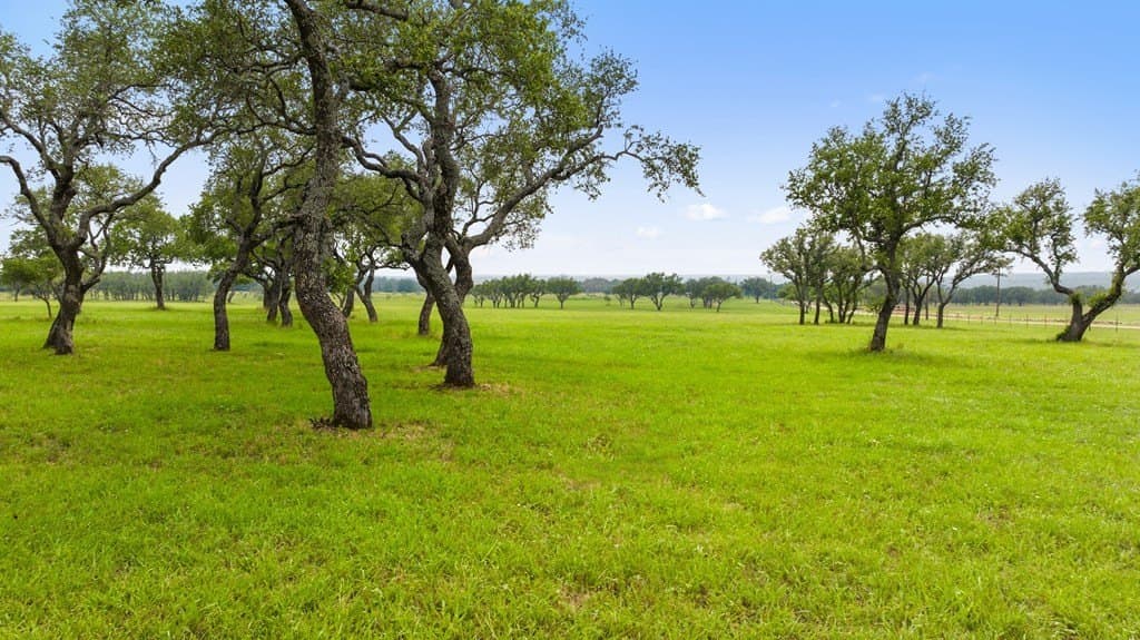 134.48 acres in Blanco County - photo 14