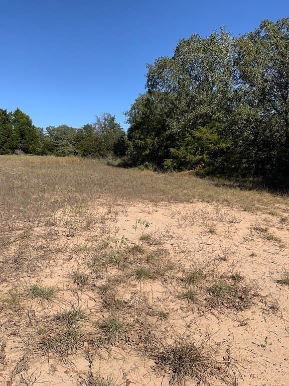 25 acres in Lee County - photo 10
