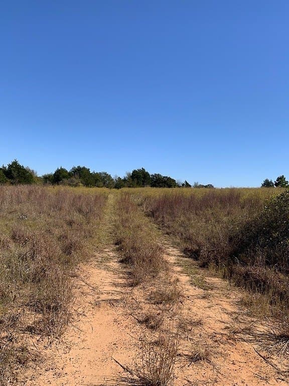 25 acres in Lee County - photo 15
