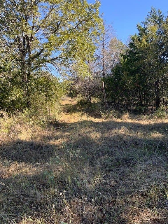 25 acres in Lee County - photo 8