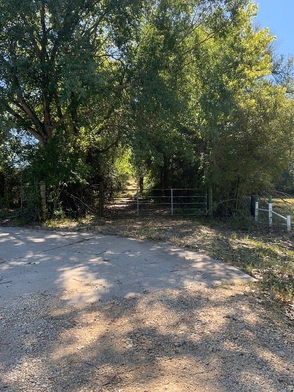 25 acres in Lee County - photo 12