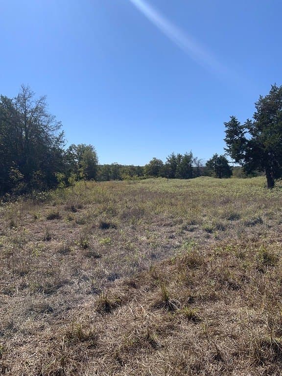 25 acres in Lee County - photo 9