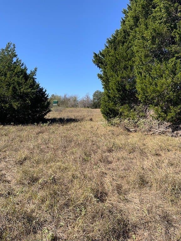 25 acres in Lee County - photo 11