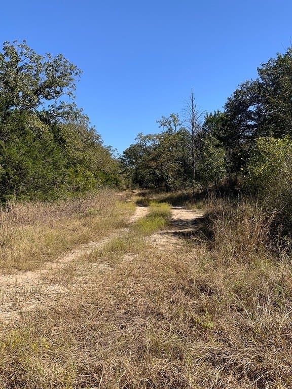 25 acres in Lee County - photo 14