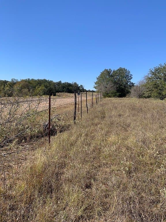 25 acres in Lee County - photo 4