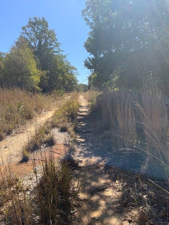25 acres in Lee County - photo 13