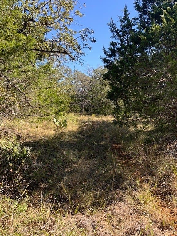 25 acres in Lee County - photo 6