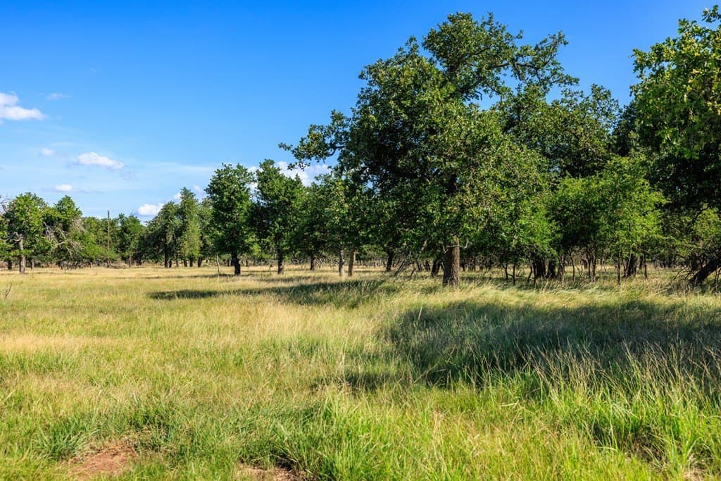 10 acres in Gillespie County - photo 3
