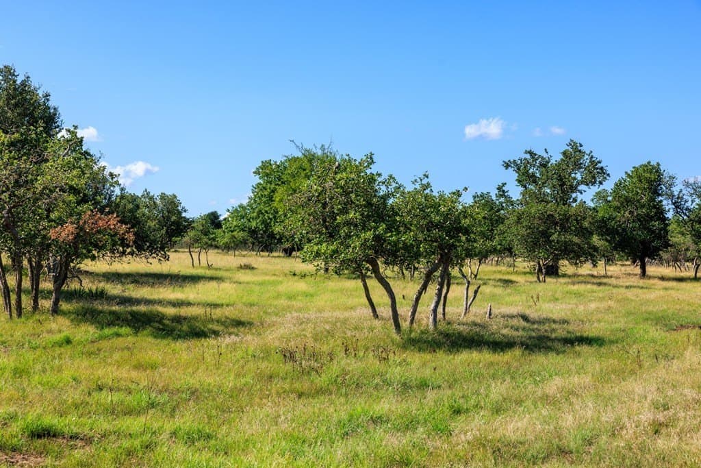 10 acres in Gillespie County - photo 4