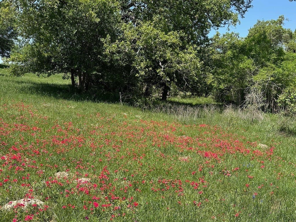 223.56 acres in Fayette County gallery image 3