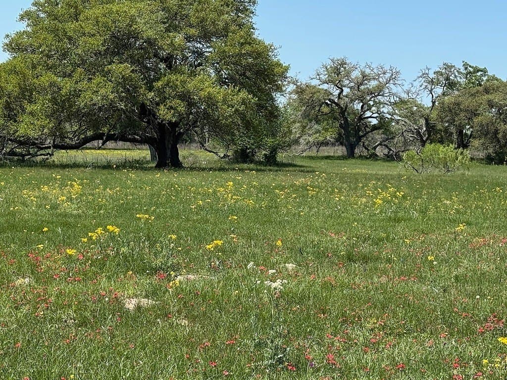 223.56 acres in Fayette County featured view