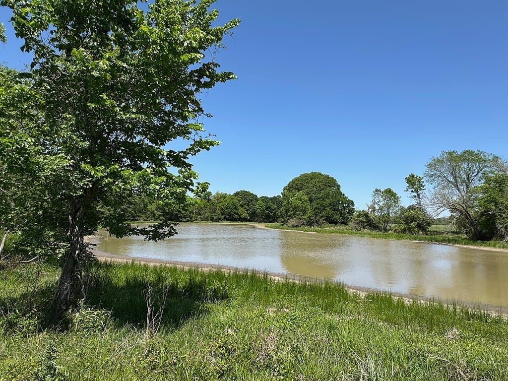 223.56 acres in Fayette County gallery image 2