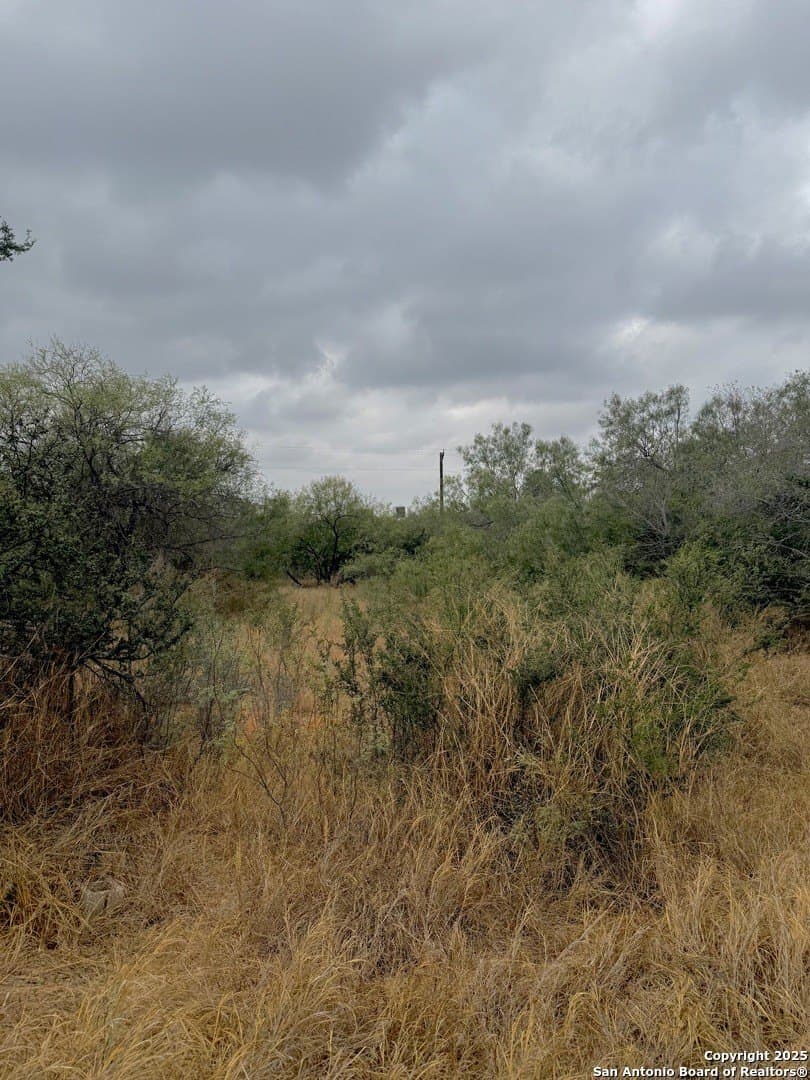 0.89 acres in La Salle County - photo 7
