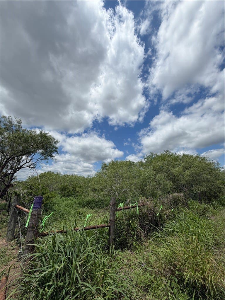 5 acres in Jim Wells County gallery image 2