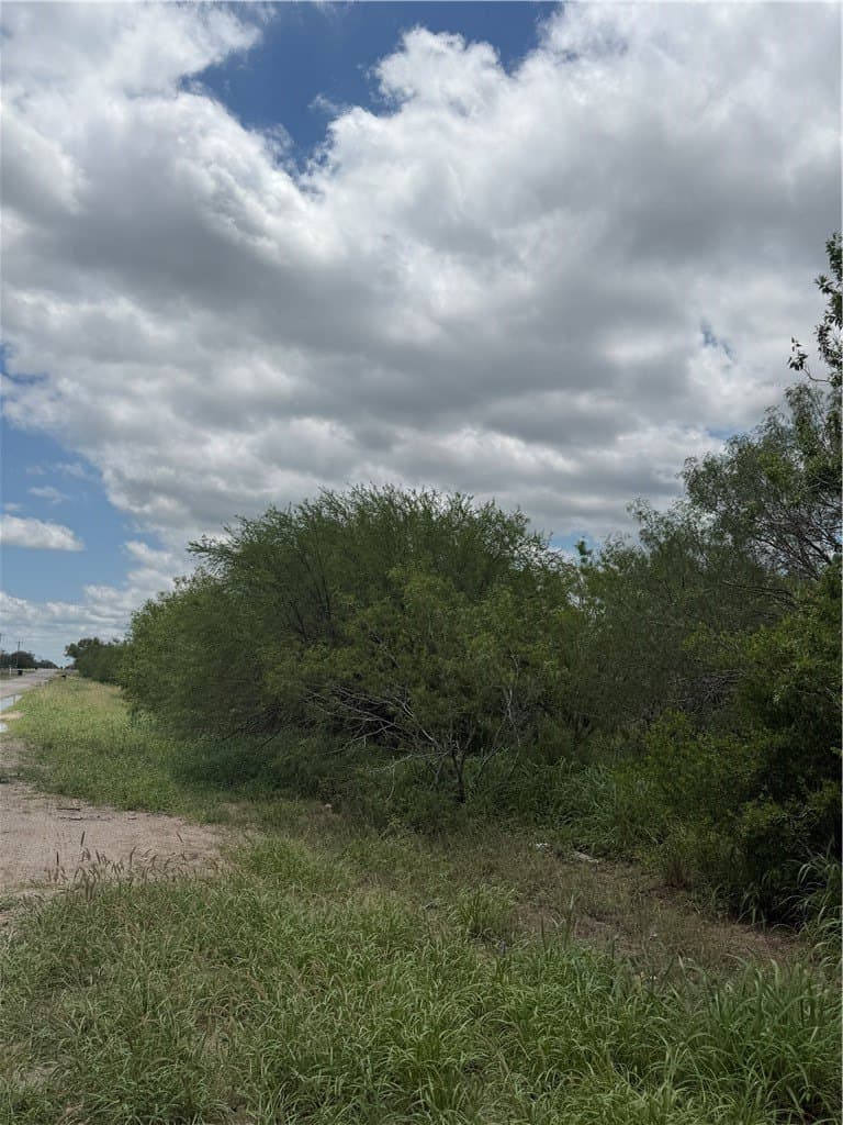 5 acres in Jim Wells County gallery image 3