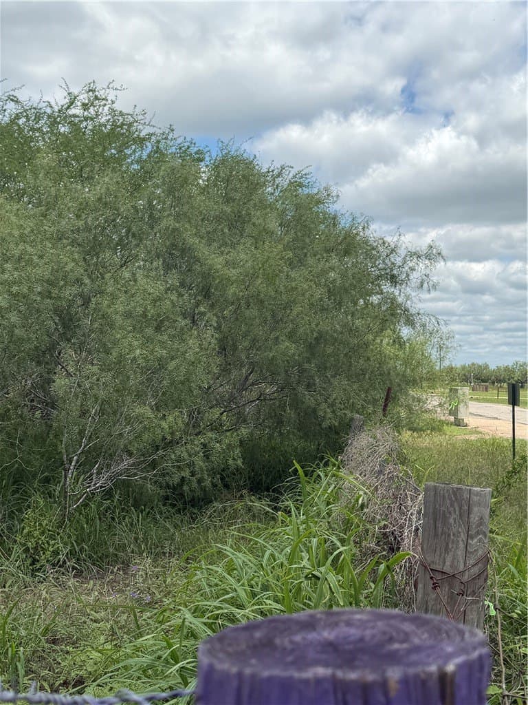 5 acres in Jim Wells County featured view