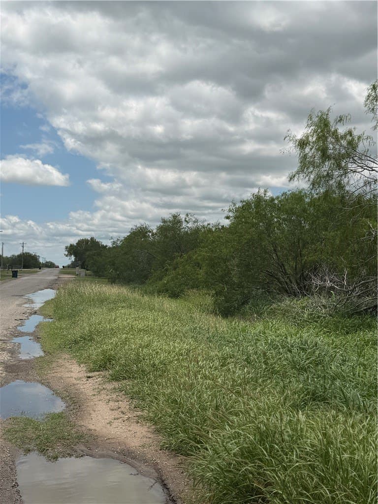 5 acres in Jim Wells County gallery image 4