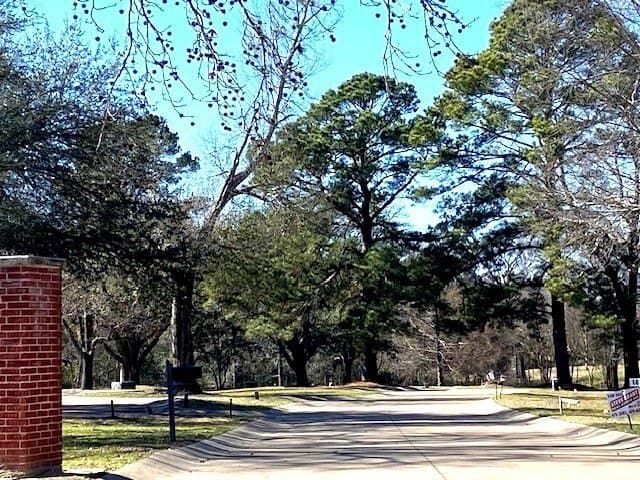 0.23 acres in Henderson County - photo 2